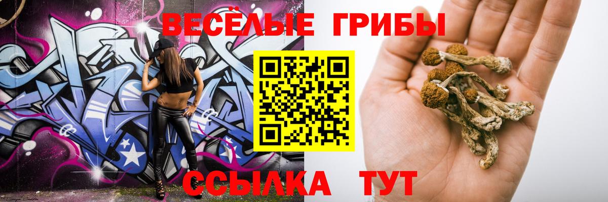 Псилоцибиновые грибы Psilocybine cubensis Железноводск